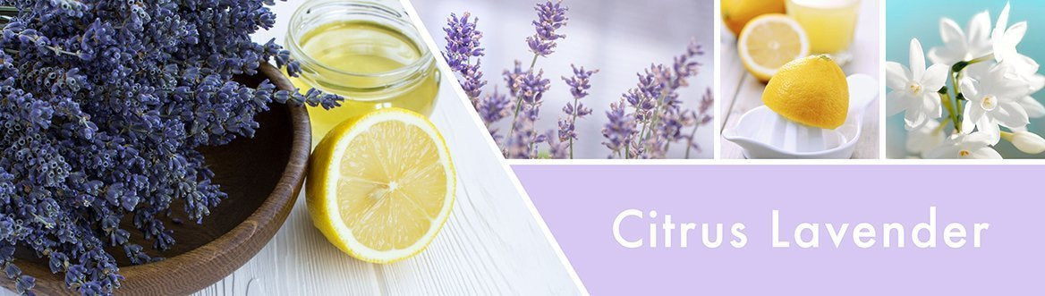 Citrus Lavender Fragrance-Goose Creek Candle