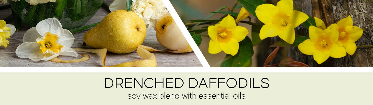 Drenched Daffodils Fragrance-Goose Creek Candle