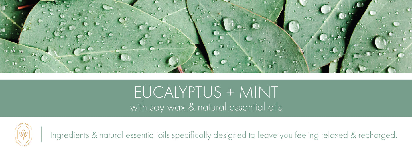 Eucalyptus Mist Fragrance-Goose Creek Candle