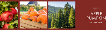 Apple Pumpkin Fragrance-Goose Creek Candle
