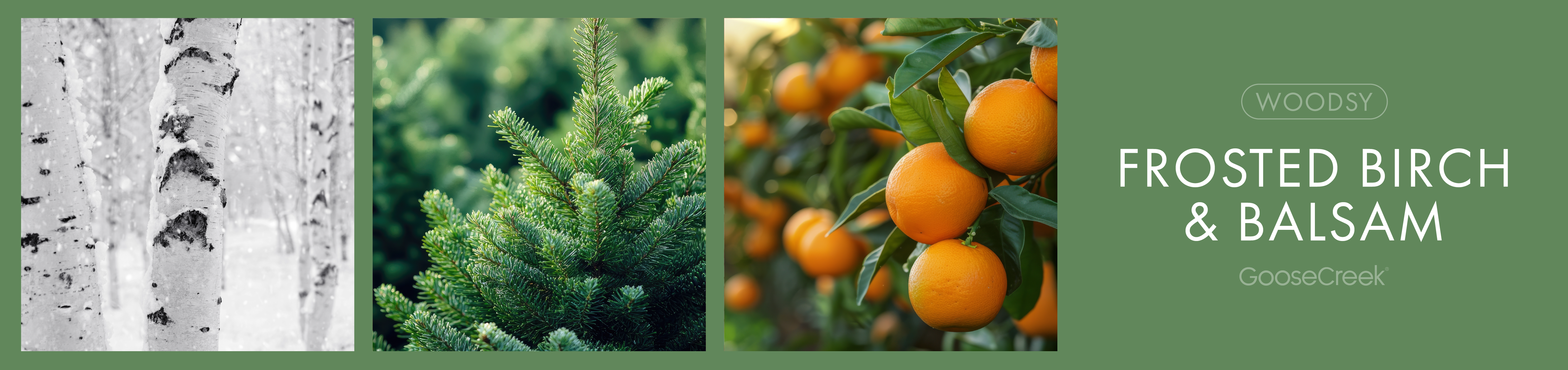 Frosted Birch & Balsam Fragrance-Goose Creek Candle