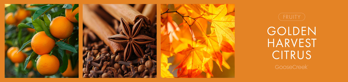 Golden Harvest Citrus Fragrance-Goose Creek Candle