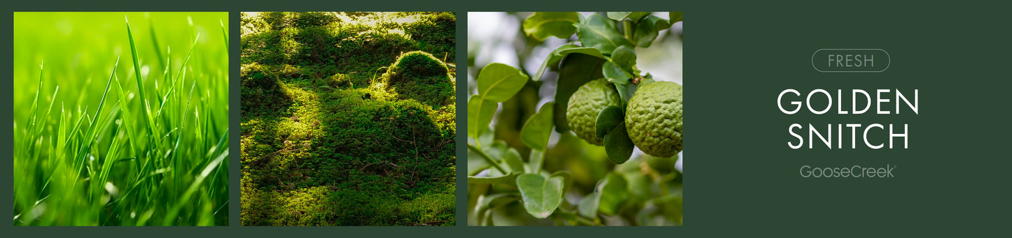 Golden Snitch Fragrance-Goose Creek Candle