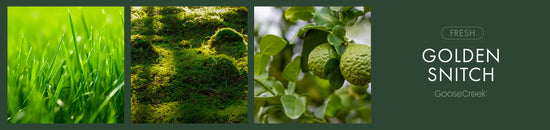 Golden Snitch Fragrance-Goose Creek Candle