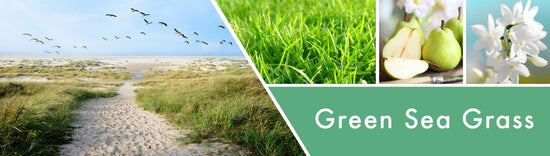 Green Sea Grass Fragrance-Goose Creek Candle