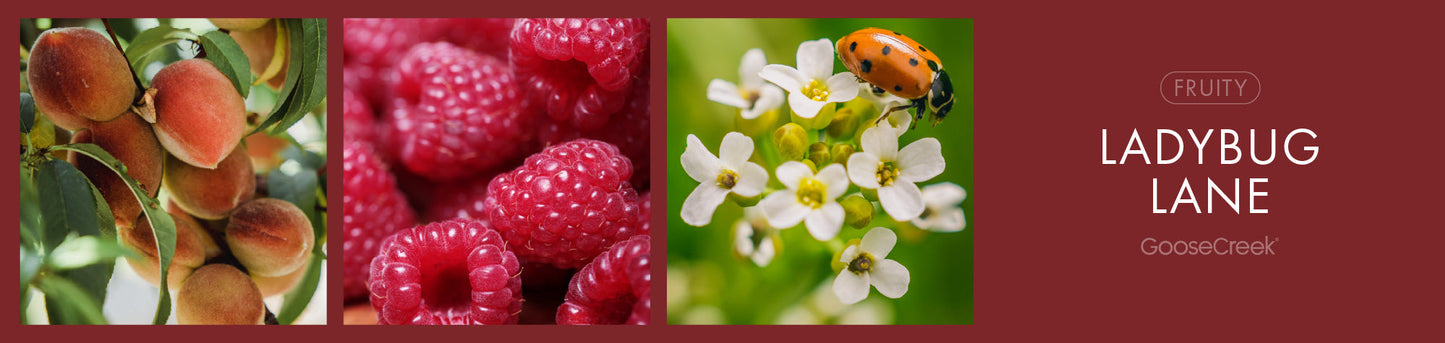 Ladybug Lane Fragrance-Goose Creek Candle