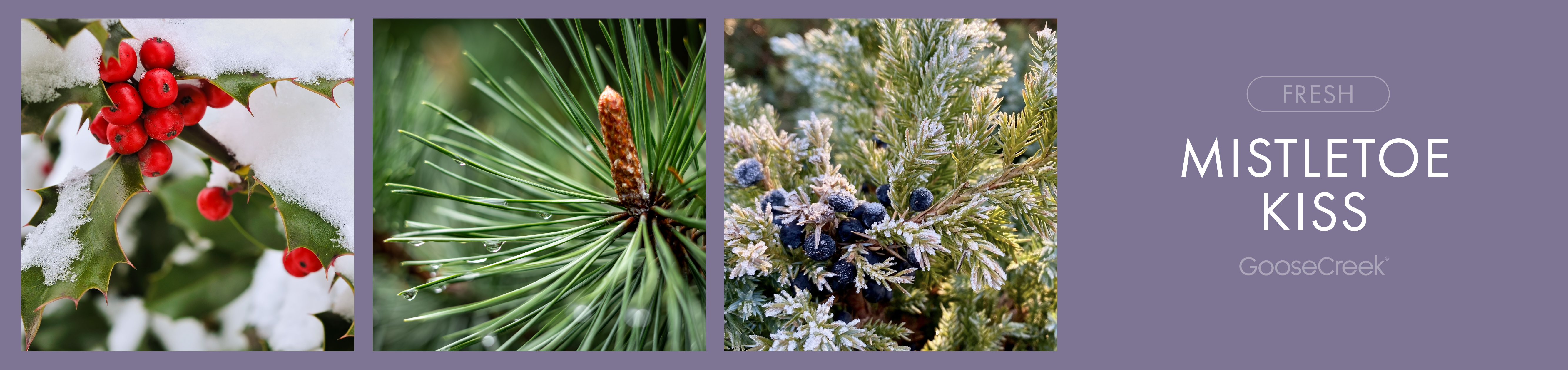 Mistletoe Kiss Fragrance-Goose Creek Candle