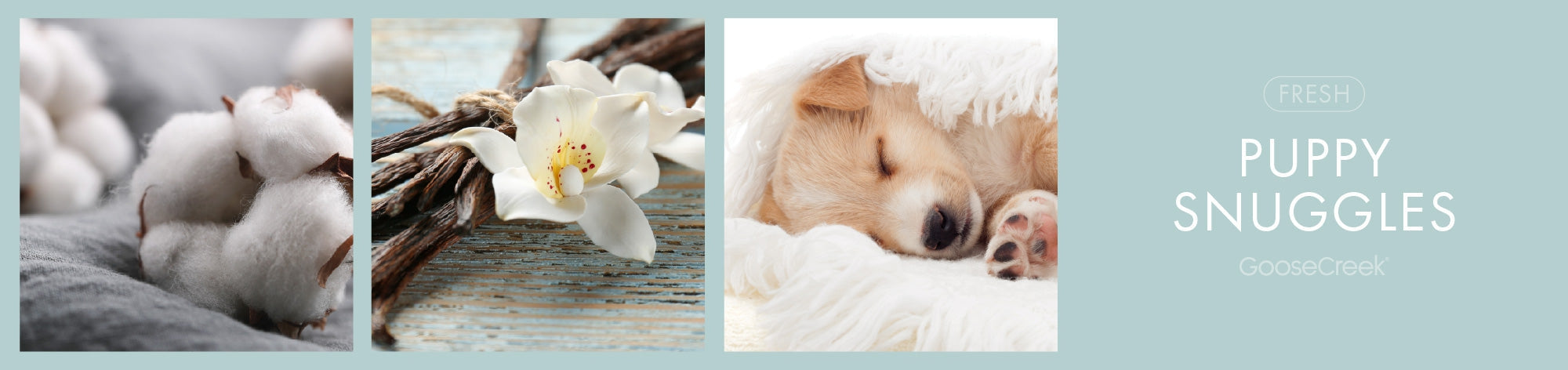 Puppy Snuggles Fragrance-Goose Creek Candle