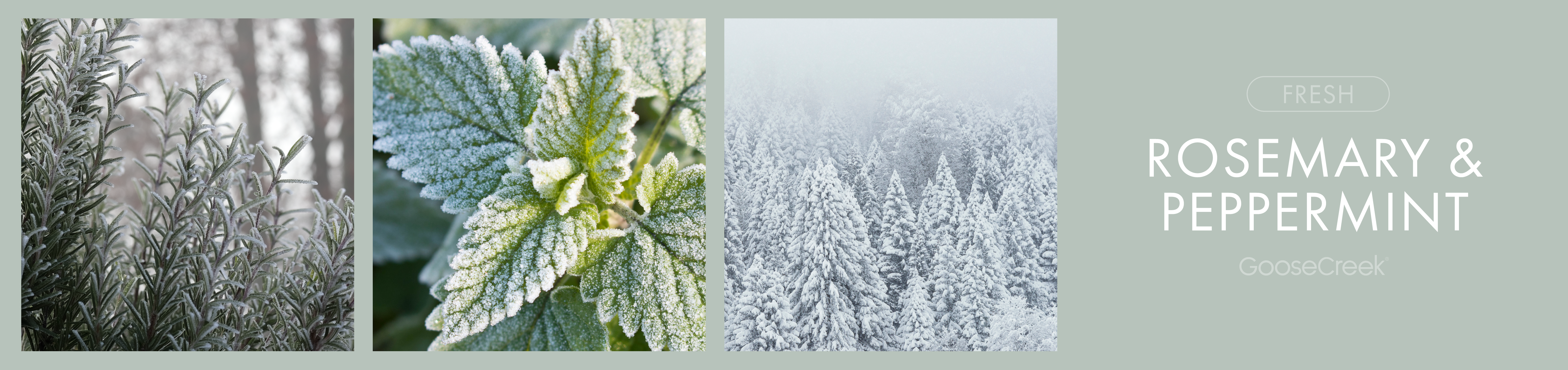 Rosemary & Peppermint Fragrance-Goose Creek Candle