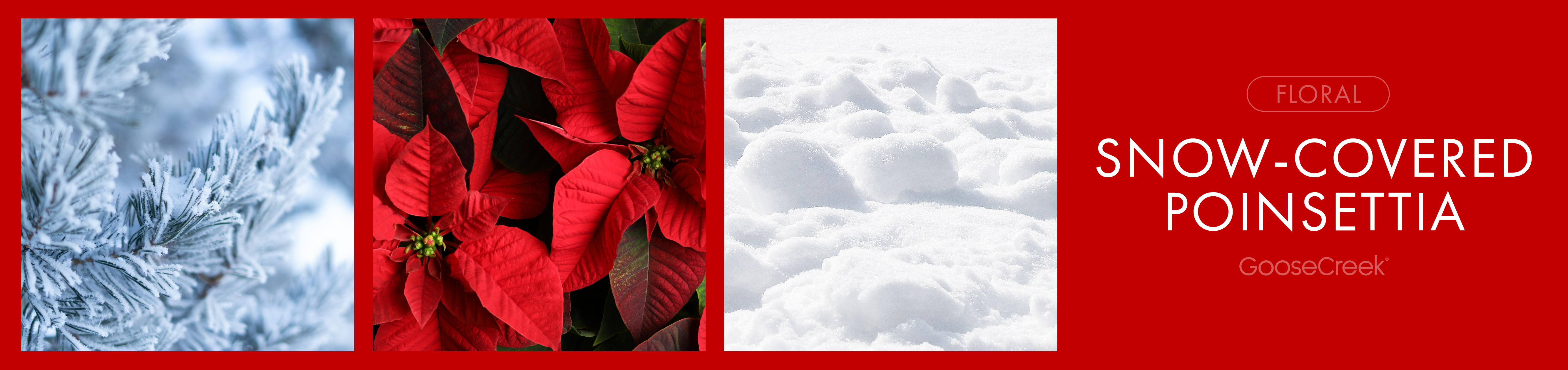 Snow-Covered Poinsettia Fragrance-Goose Creek Candle