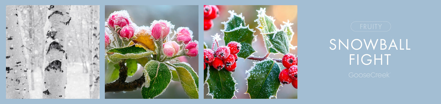 Snowball Fight Fragrance-Goose Creek Candle
