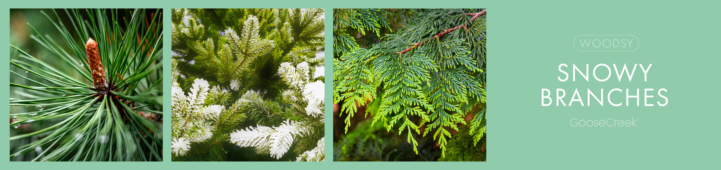 Snowy Branches Fragrance-Goose Creek Candle