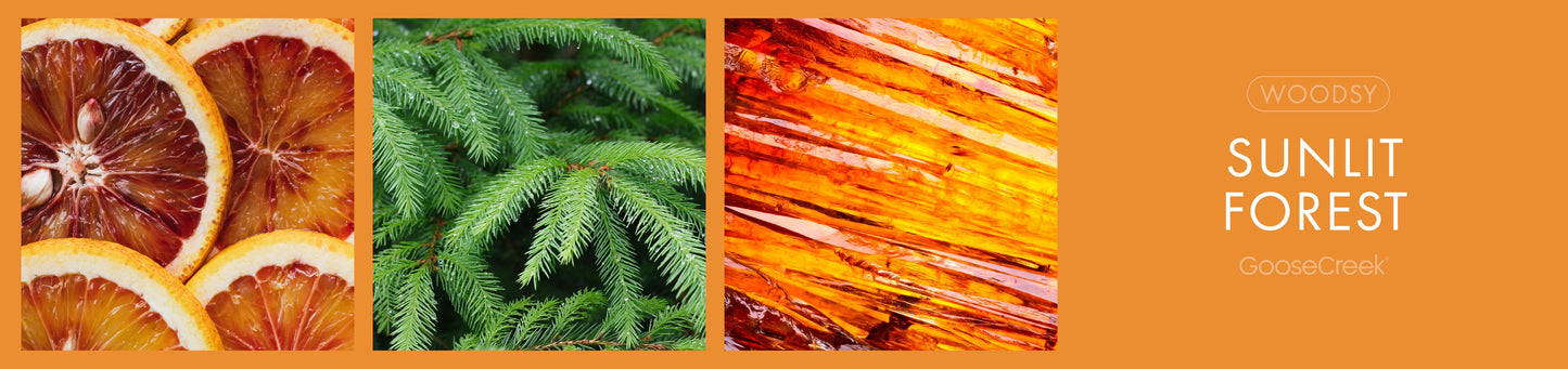 Sunlit Forest Fragrance-Goose Creek Candle