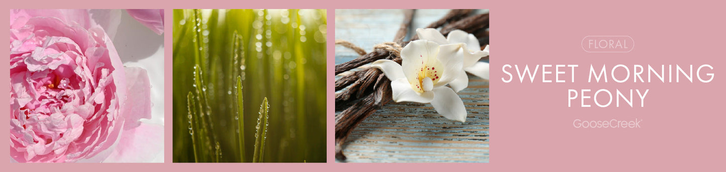 Sweet Morning Peony Fragrance-Goose Creek Candle