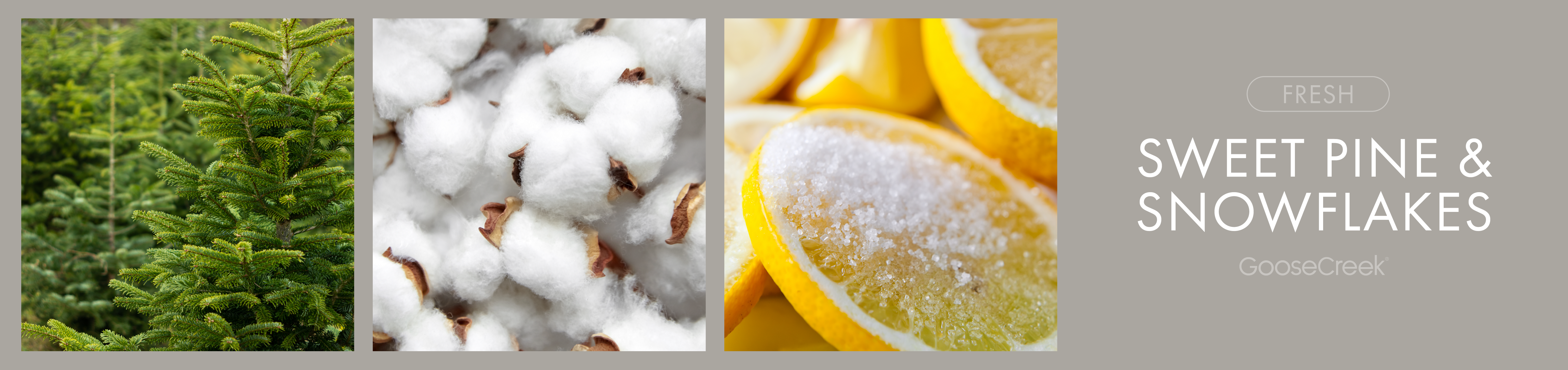 Sweet Pine & Snowflake Fragrance-Goose Creek Candle