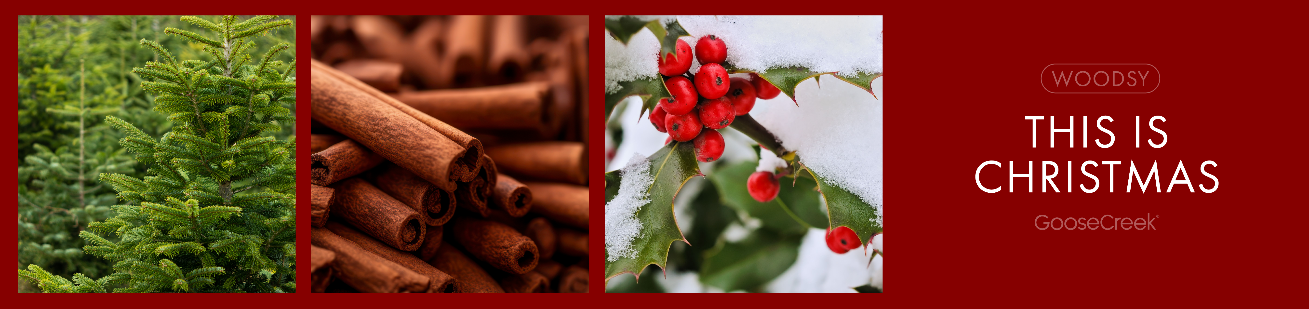 This Is Christmas 3-Wick Candle