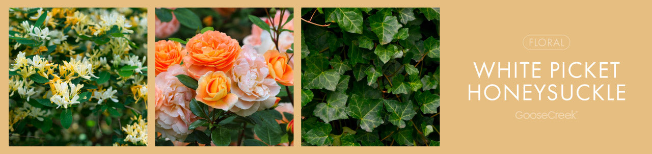 White Picket Honeysuckle Fragrance-Goose Creek Candle