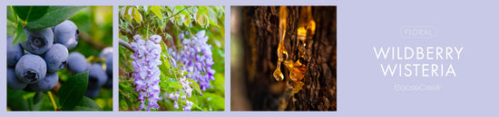 Wildberry Wisteria Fragrance-Goose Creek Candle