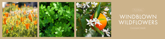 Windblown Wildflowers Fragrance-Goose Creek Candle