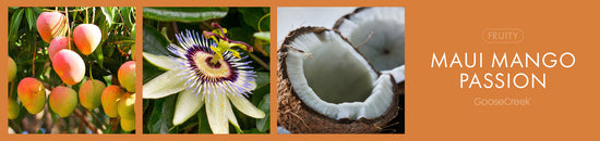 Maui Mango Passion Fragrance-Goose Creek Candle