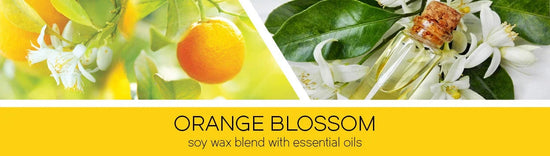 Orange Blossom Fragrance-Goose Creek Candle