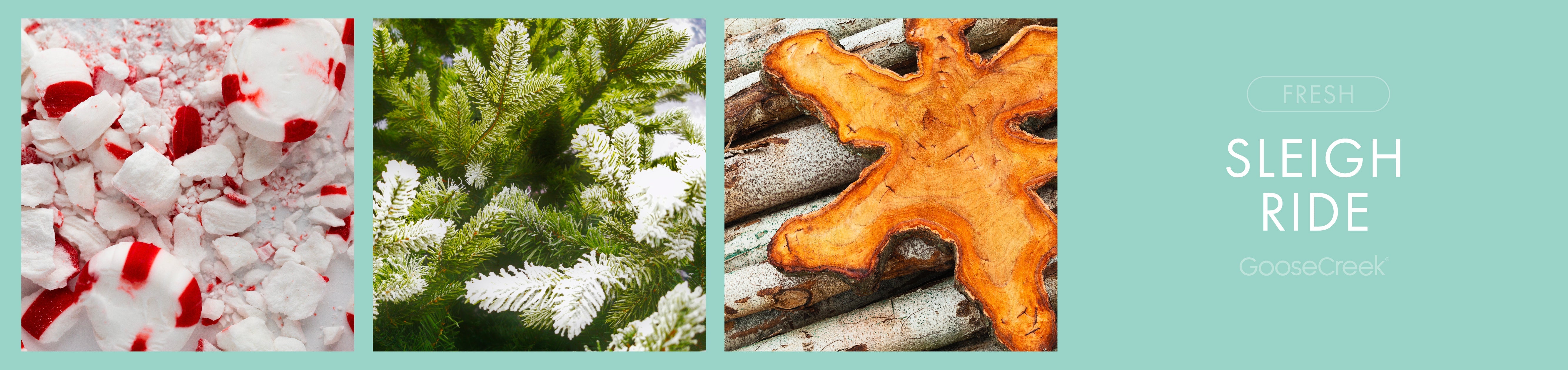 Sleigh Ride Large 3-Wick Candle