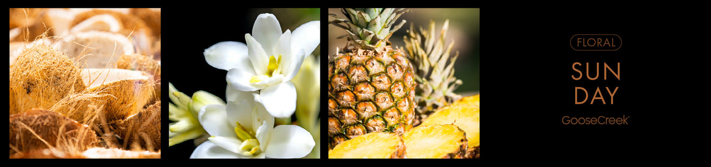 Sun Day Fragrance-Goose Creek Candle