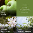 Load image into Gallery viewer, Apple Blossoms 3-Wick Candle

