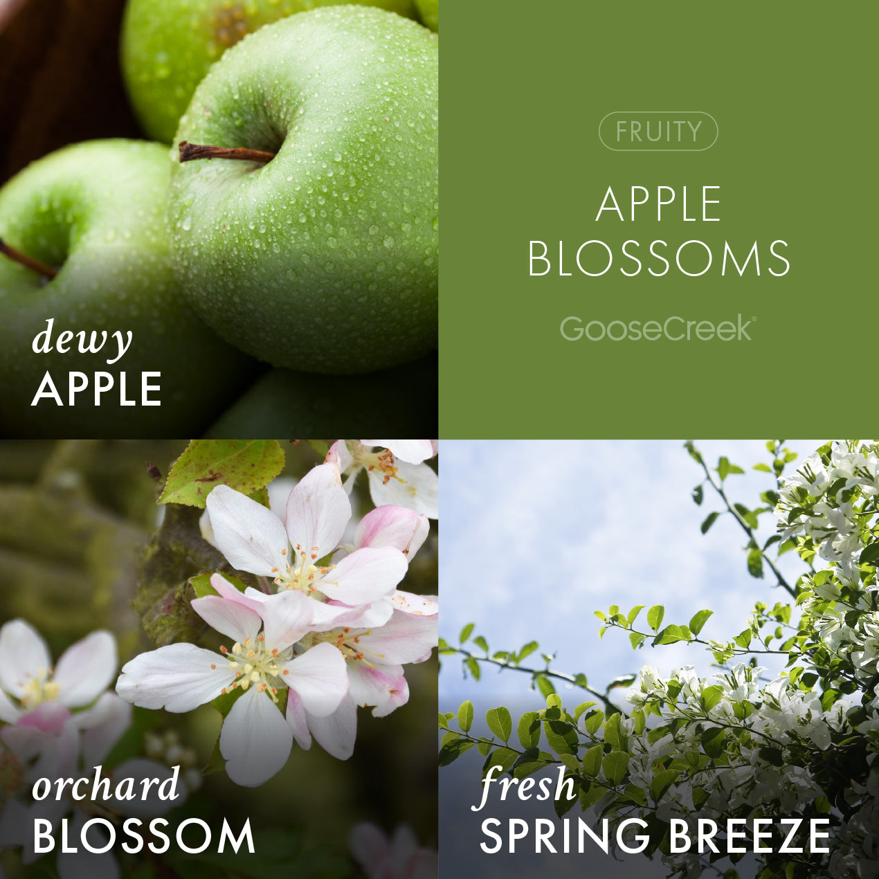 Apple Blossoms 3-Wick Candle