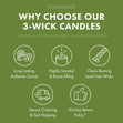 Load image into Gallery viewer, Apple Blossoms 3-Wick Candle
