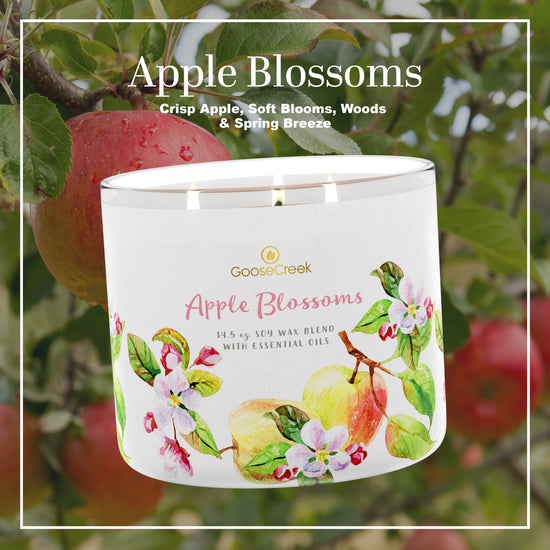 Apple Blossoms Large 3-Wick Candle
