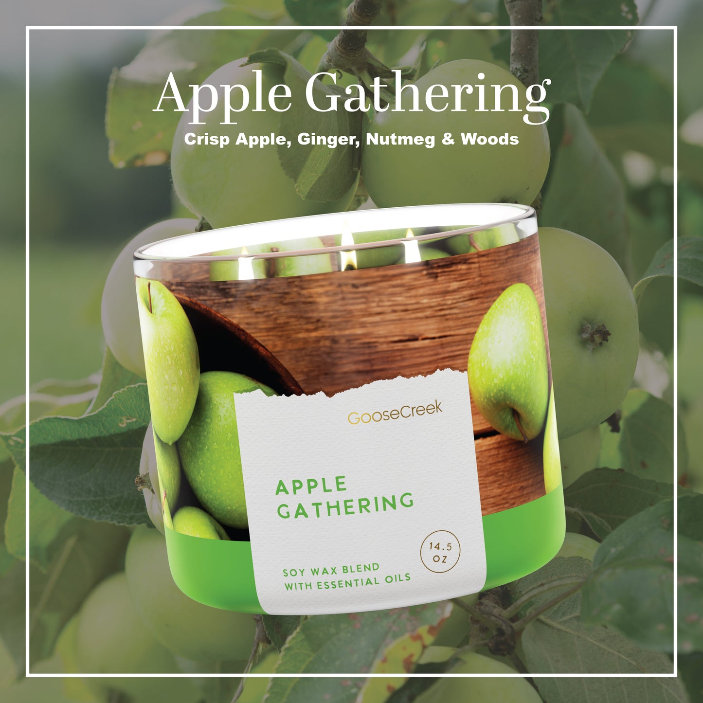 Apple Gathering 3-Wick Candle