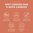 Load image into Gallery viewer, Apple Picking 3-Wick Peanuts Candle

