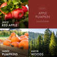 Apple Pumpkin 3-Wick Candle