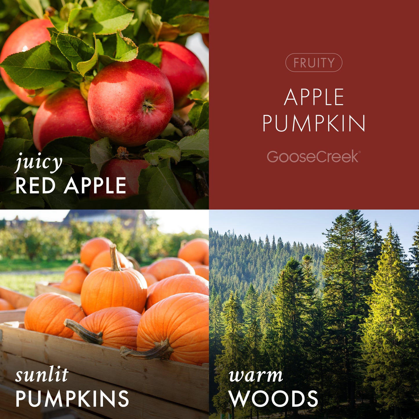 Apple Pumpkin 3-Wick Candle