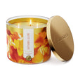 Load image into Gallery viewer, Autumn Glow 3-Wick Candle
