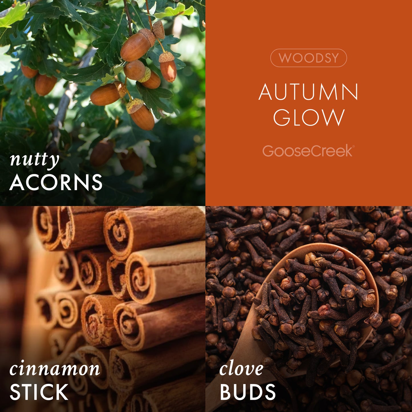 Autumn Glow 3-Wick Candle