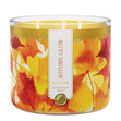 Load image into Gallery viewer, Autumn Glow 3-Wick Candle
