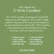 Load image into Gallery viewer, Autumn Outdoors 3-Wick Candle
