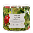 Load image into Gallery viewer, Autumn Outdoors 3-Wick Candle
