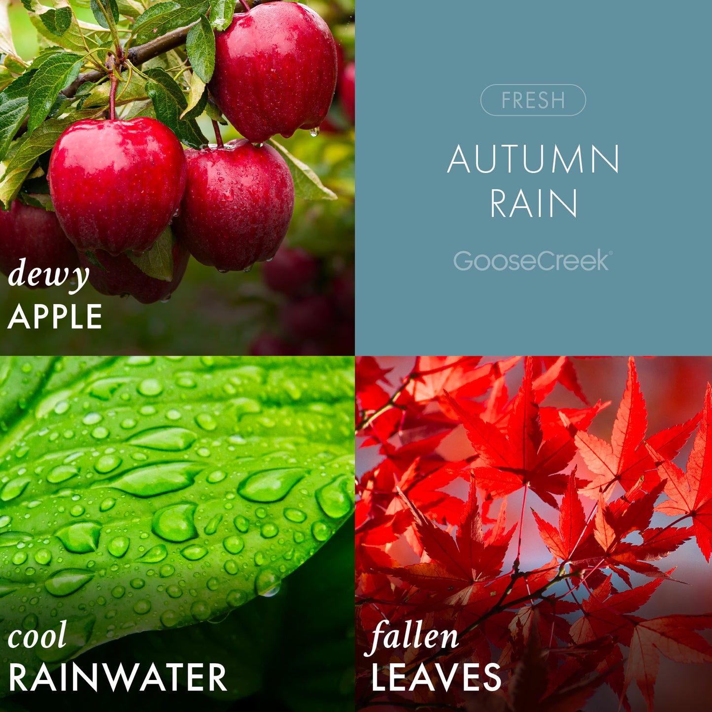 Autumn Rain 3-Wick Candle