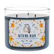 Load image into Gallery viewer, Autumn Rain 3-Wick Candle
