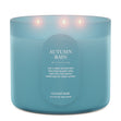 Load image into Gallery viewer, Autumn Rain 3-Wick Candle

