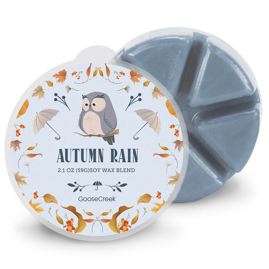 Autumn Rain Wax Melt