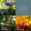 Load image into Gallery viewer, Autumn Road Trip 3-Wick Candle
