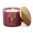 Load image into Gallery viewer, Autumn in Amsterdam 3-Wick Candle

