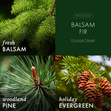 Load image into Gallery viewer, Balsam Fir 3-Wick Candle
