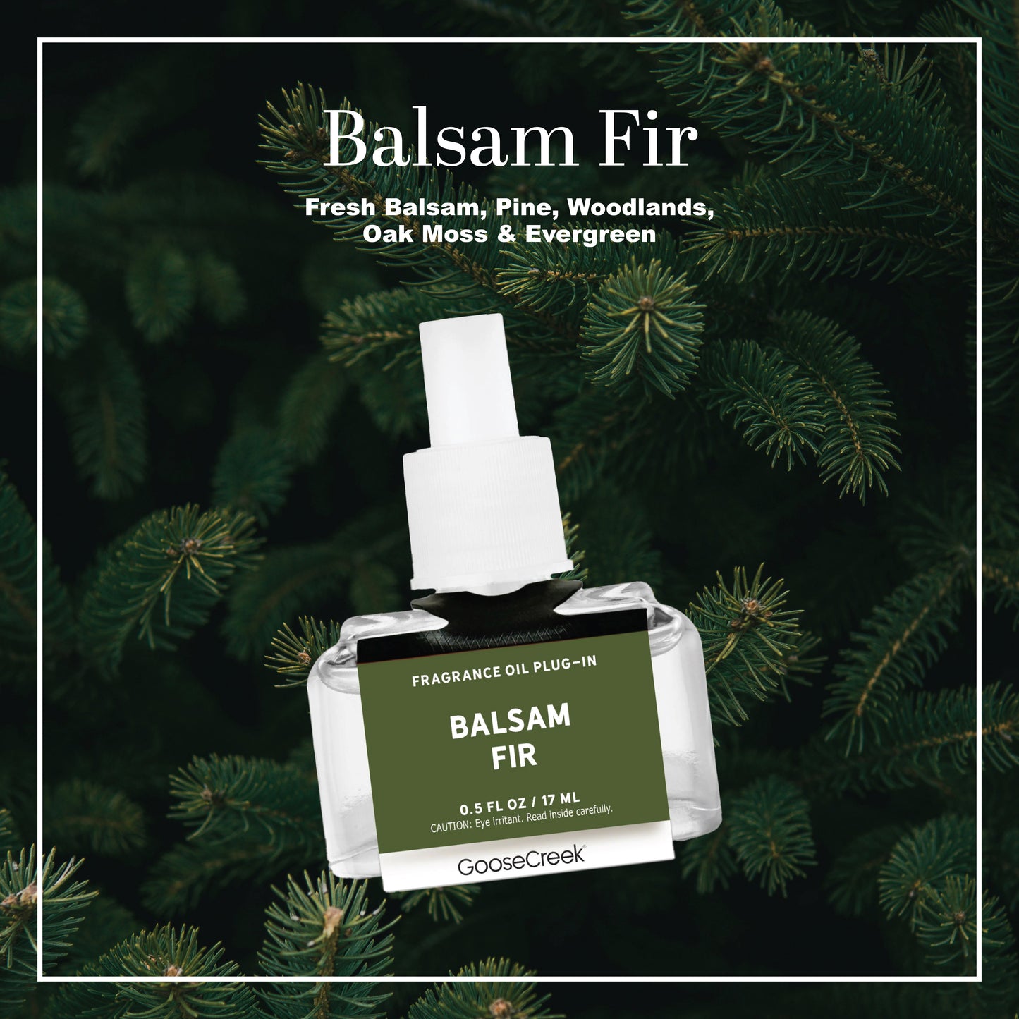 Balsam Fir Plug-in Refill