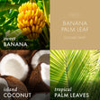 Load image into Gallery viewer, Banana Palm Leaf 3-Wick Candle
