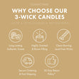 Load image into Gallery viewer, Banana Palm Leaf 3-Wick Candle
